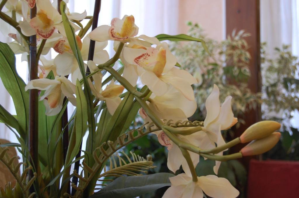 Touring Hotel Гренобъл Екстериор снимка